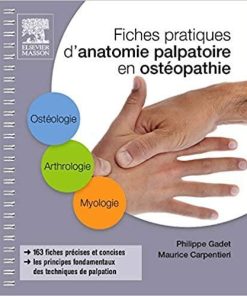 Fiches Pratiques D’anatomie Palpatoire En Ostéopathie (Hors collection) (French Edition)