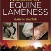 Manual of Equine Lameness 2nd Edition