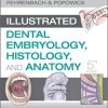 Student Workbook for Illustrated Dental Embryology, Histology and Anatomy, 5e 5th Edition