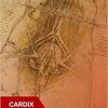 Manual of Cardiovascular Medicine 1st Edition Manual of Cardiovascular Medicine 1st Edition