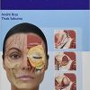 Dermal Fillers: Facial Anatomy and Injection Techniques 1st Edition