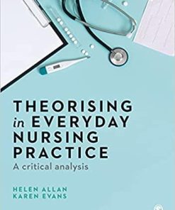 Theorising in Everyday Nursing Practice: A Critical Analysis 1st Edition