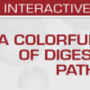 USCAP A Colorful Cornucopia of Digestive Tract Pathology 2022 (CME VIDEOS)