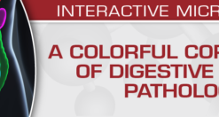 USCAP A Colorful Cornucopia of Digestive Tract Pathology 2022 (CME VIDEOS)