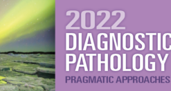 2022 Diagnostic Pathology Update: Pragmatic Approaches to Daily Practice (CME VIDEOS)