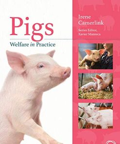 Pigs Welfare in Practice (Animal Welfare in Practice) (PDF)