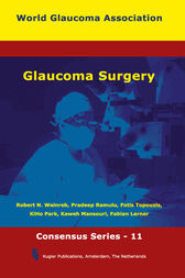 Glaucoma Surgery (PDF)