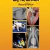 Cardiovascular Disease in Companion Animals, 2nd Edition (PDF)