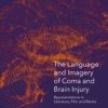 The Language and Imagery of Coma and Brain Injury (PDF)