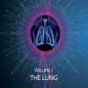 The Lung (PDF)