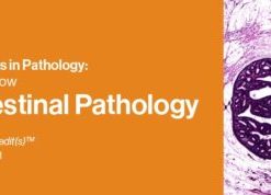 2021 Classic Lectures in Pathology: What You Need to Know: Gastrointestinal Pathology (CME VIDEOS)