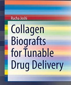 Collagen Biografts for Tunable Drug Delivery (SpringerBriefs in Applied Sciences and Technology) (PDF)