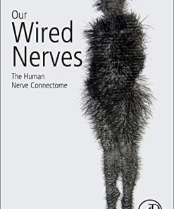 Our Wired Nerves: The Human Nerve Connectome (PDF)