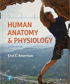 Human Anatomy & Physiology, 2nd Edition (PDF)