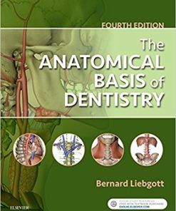 The Anatomical Basis of Dentistry, 4th Edition (EPUB)