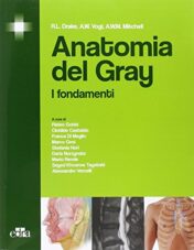 Anatomia del Gray. I fondamenti 2015 EPUB + Converted PDF
