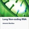 Long Non-coding RNA: The Dark Side of the Genome (EPUB)