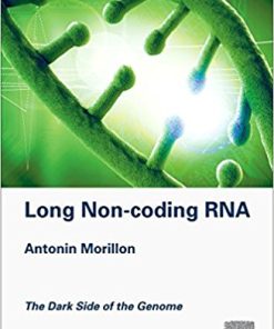 Long Non-coding RNA: The Dark Side of the Genome (EPUB)