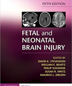 Fetal and Neonatal Brain Injury 5th Editon (PDF)