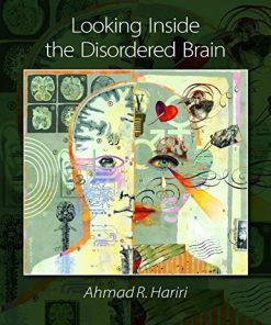 Looking Inside the Disordered Brain (PDF)