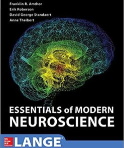 Essentials of Modern Neuroscience (PDF)