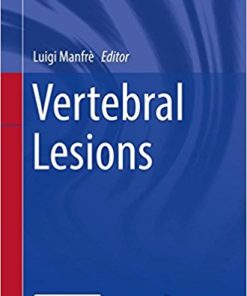 Vertebral Lesions (New Procedures in Spinal Interventional Neuroradiology) (PDF)