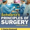 Schwartz’s Principles of Surgery, 10th edition (EPUB)