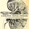 Chronic Renal Disease (PDF)