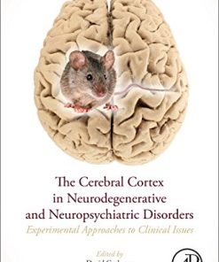 The Cerebral Cortex in Neurodegenerative and Neuropsychiatric Disorders: Experimental Approaches to Clinical Issues (PDF)