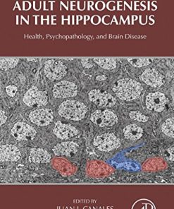 Adult Neurogenesis in the Hippocampus: Health, Psychopathology, and Brain Disease