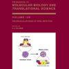 The Molecular Basis of Viral Infection