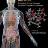 Molecules to Medicine with mTOR: Translating Critical Pathways into Novel Therapeutic Strategies