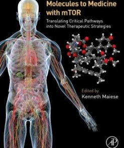 Molecules to Medicine with mTOR: Translating Critical Pathways into Novel Therapeutic Strategies