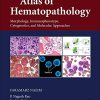 Atlas of Hematopathology: Morphology, Immunophenotype, Cytogenetics, and Molecular Approaches (PDF)