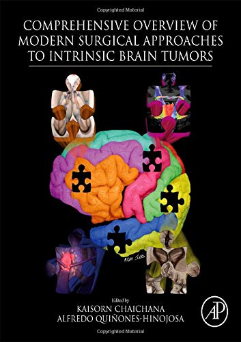 Comprehensive Overview of Modern Surgical Approaches to Intrinsic Brain Tumors (PDF) Comprehensive Overview of Modern Surgical Approaches to Intrinsic Brain Tumors (PDF)