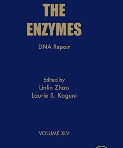 DNA Repair (Volume 45) (The Enzymes, Volume 45) (PDF)