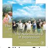 The Neuroscience of Depression (PDF)