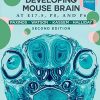 Atlas of the Developing Mouse Brain, 2nd Edition (PDF)