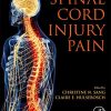 Spinal Cord Injury Pain (PDF)