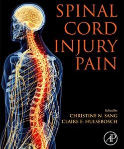 Spinal Cord Injury Pain (PDF)