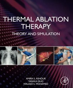 Thermal Ablation Therapy: Theory and Simulation (PDF)