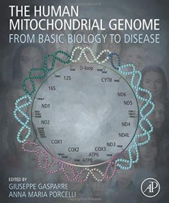 The Human Mitochondrial Genome: From Basic Biology to Disease (PDF)