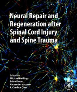 Neural Repair and Regeneration after Spinal Cord Injury and Spine Trauma (EPUB)