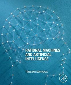 Rational Machines and Artificial Intelligence (PDF)