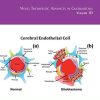 Novel Therapeutic Advances in Glioblastoma (Volume 151) (International Review of Neurobiology (Volume 151)) (PDF)