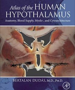 Atlas of the Human Hypothalamus: Anatomy, Blood Supply, Myelo-, and Cytoarchitecture (PDF)