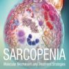 Sarcopenia: Molecular Mechanism and Treatment Strategies (EPUB)