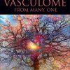 The Vasculome: From Many, One (PDF)