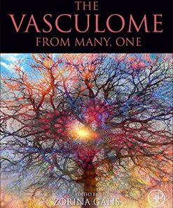 The Vasculome: From Many, One (PDF)