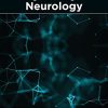 Big Data in Psychiatry and Neurology (PDF)